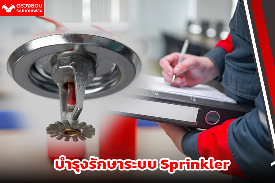 บำรุงรักษาระบบ Sprinkler